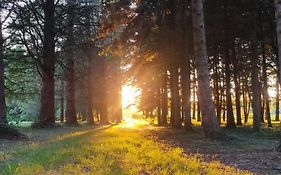 Le Bois Des Fees De Chazelles